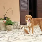 Le Terrazze Su Fraginesi דירה *