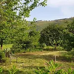 Le Terrazze Su Fraginesi דירה קאסטלמארה דל גולפו